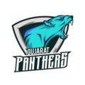 Gujarat Panthers